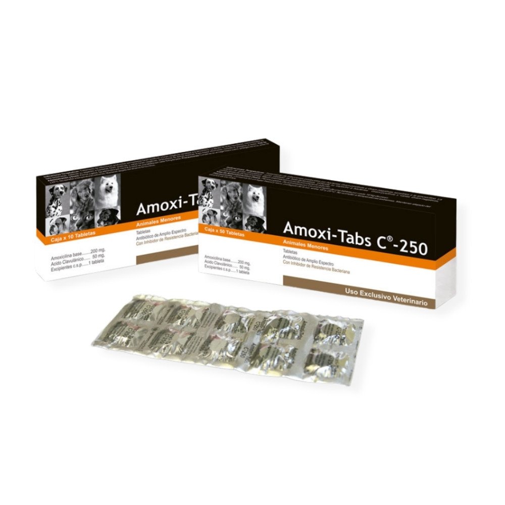 AMINOVIT ORAL PERROS 150 mL